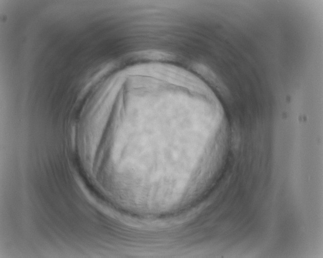 X0000083040014200702231941