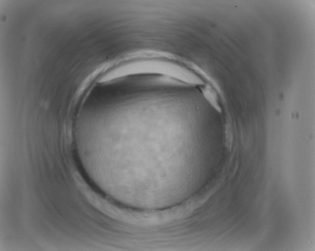 X0000083040015200702231941