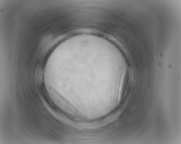 X0000083040016200702231941