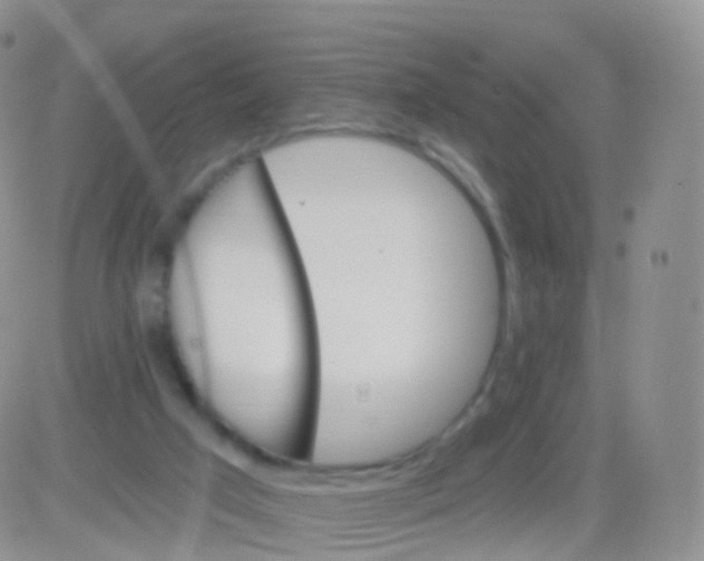 X0000083040017200702231941