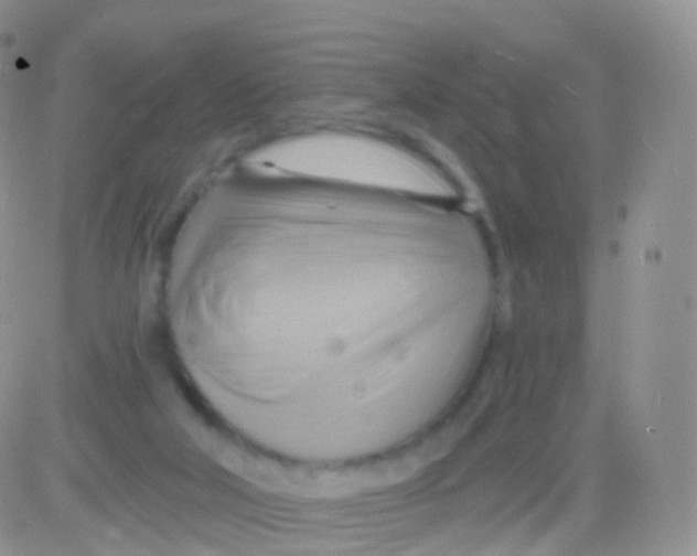 X0000083040018200702231941