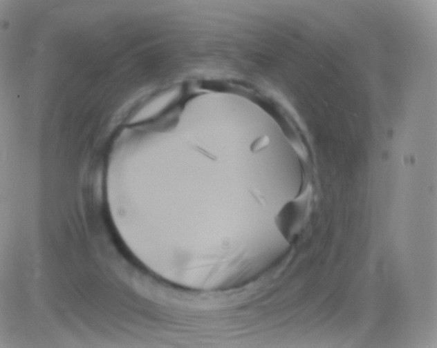 X0000083040019200702231941