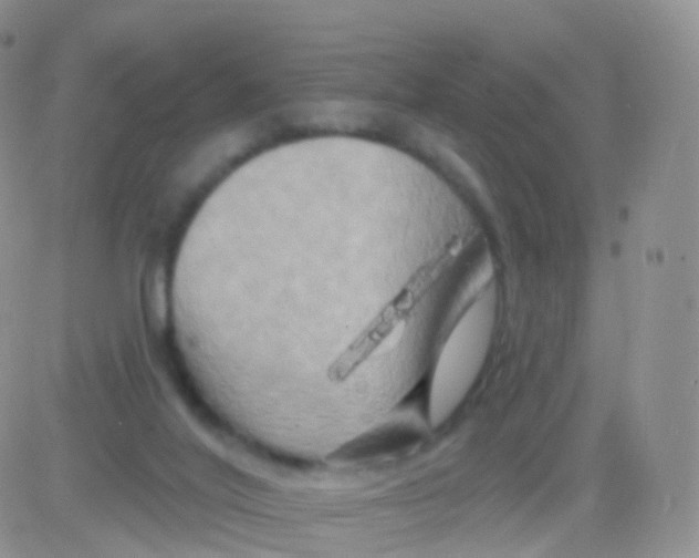 X0000083040020200702231941