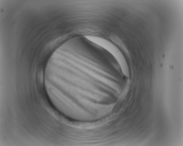 X0000083040021200702231941