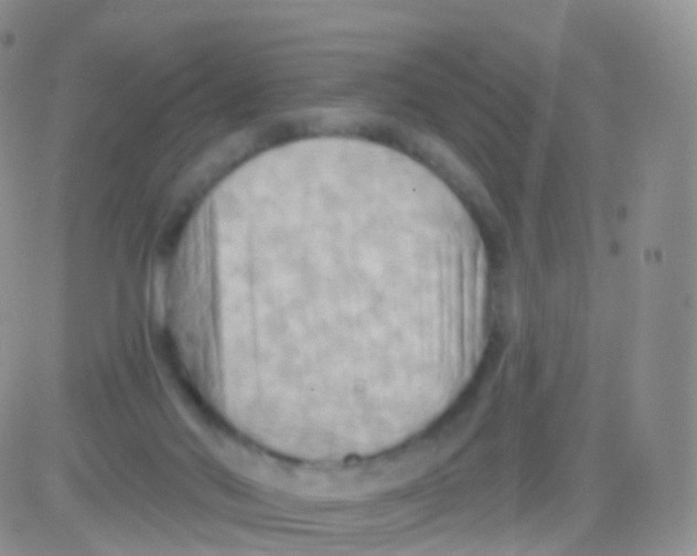 X0000083040022200702231941