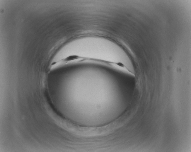 X0000083040023200702231941