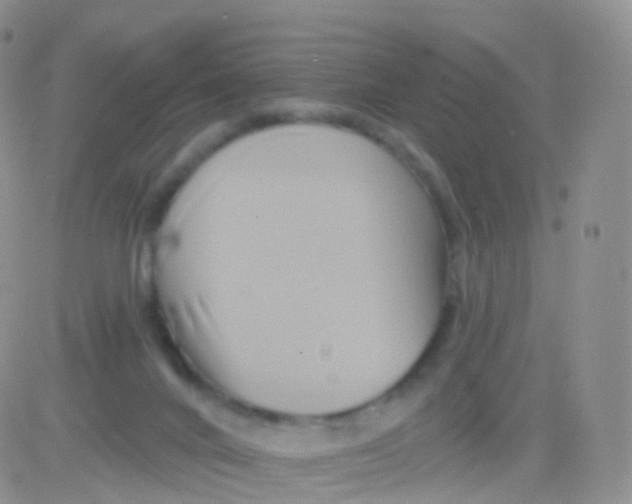 X0000083040024200702231941