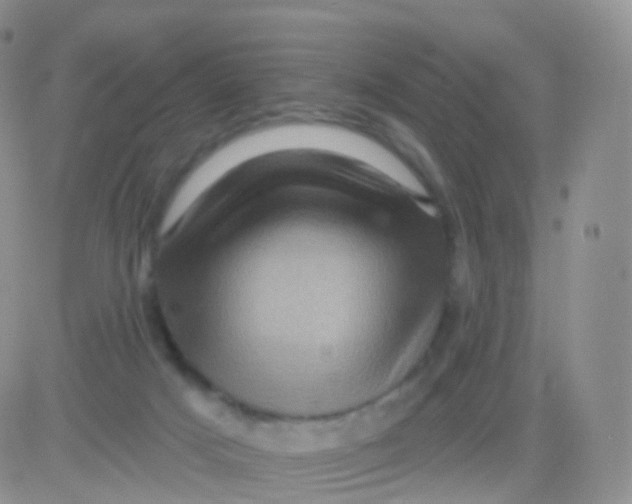 X0000083040025200702231941