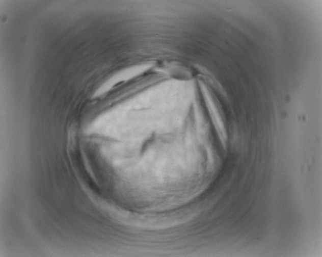 X0000083040026200702231941