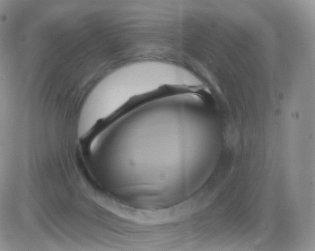 X0000083040027200702231941