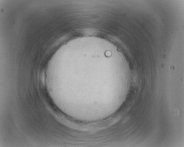 X0000083040028200702231941