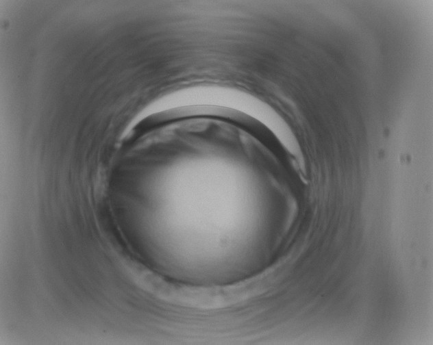 X0000083040029200702231941