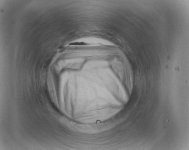 X0000083040030200702231941