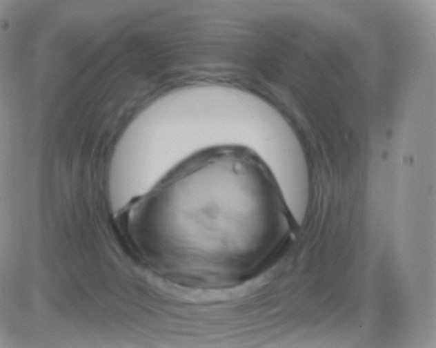 X0000083040031200702231941