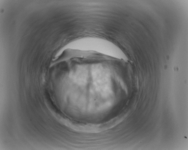 X0000083040032200702231941