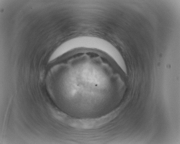 X0000083040033200702231941