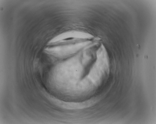 X0000083040034200702231941