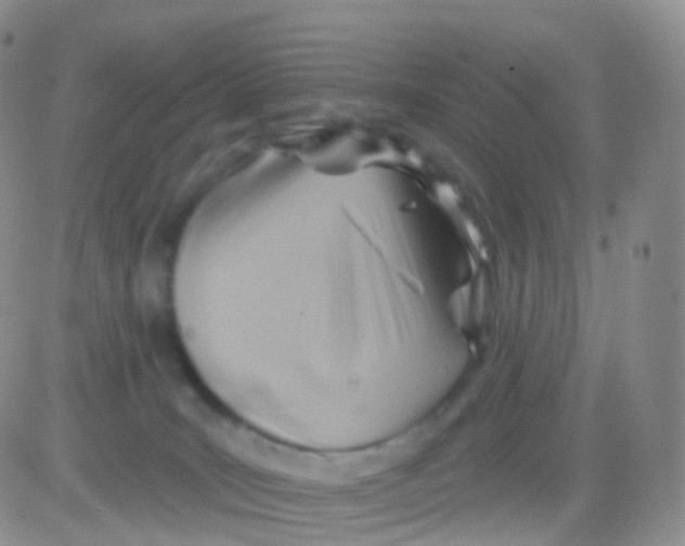 X0000083040035200702231941