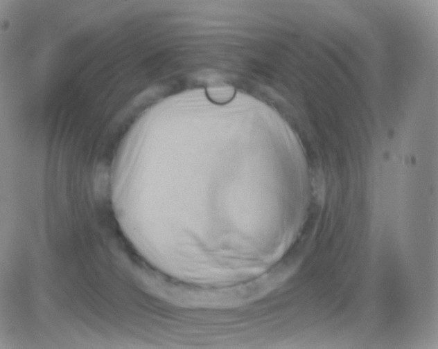 X0000083040036200702231941