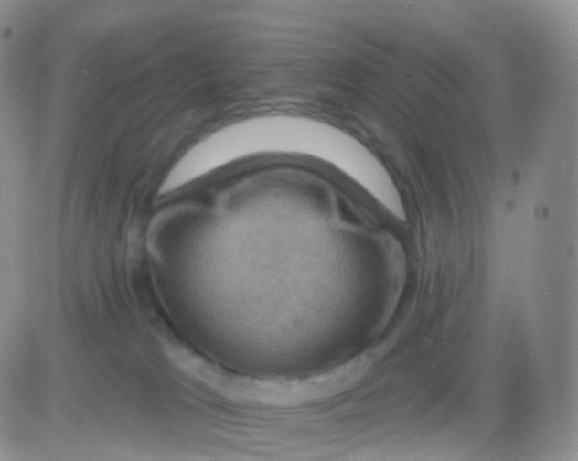 X0000083040037200702231941