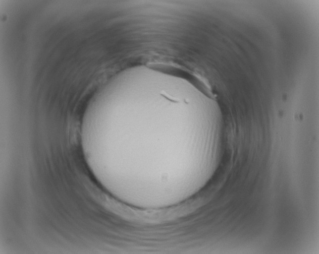 X0000083040038200702231941