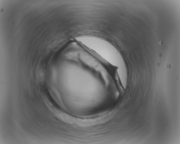 X0000083040039200702231941