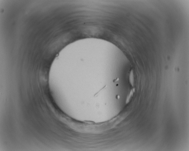 X0000083040040200702231941