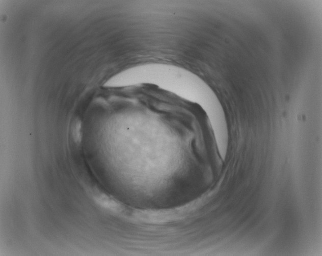 X0000083040041200702231941