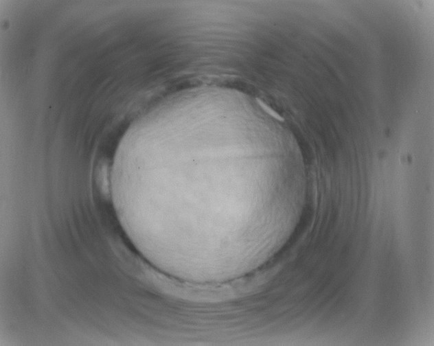 X0000083040042200702231941