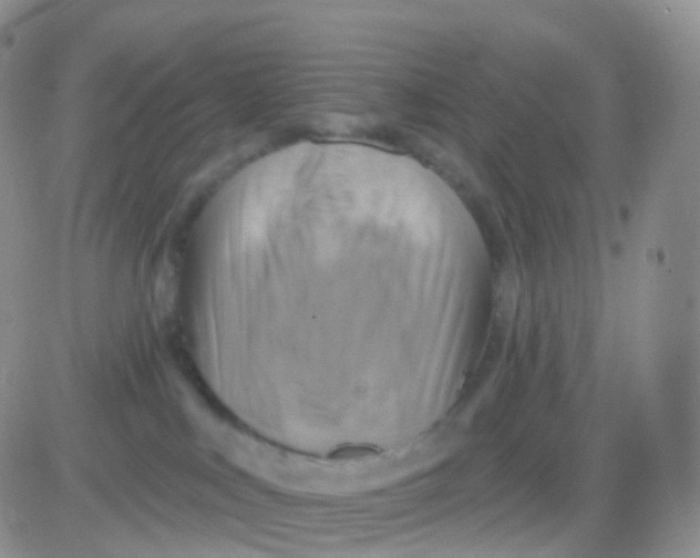 X0000083040043200702231941