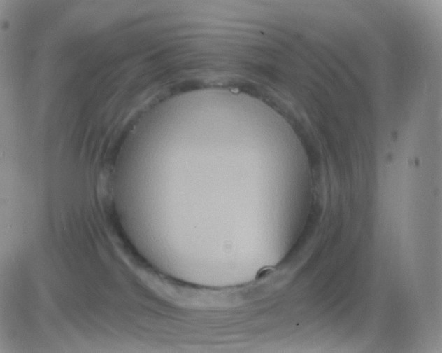 X0000083040044200702231941