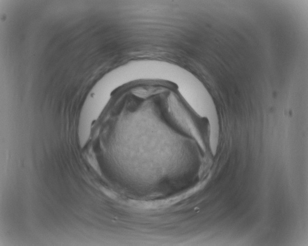 X0000083040045200702231941