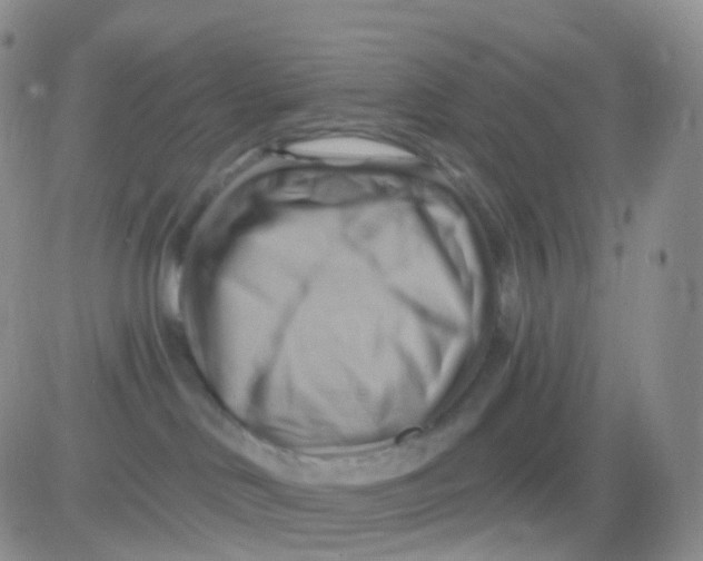 X0000083040046200702231941