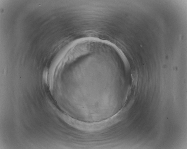 X0000083040047200702231941