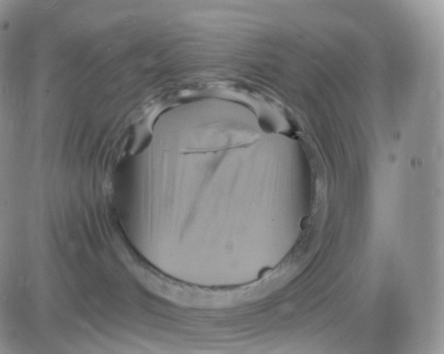 X0000083040048200702231941