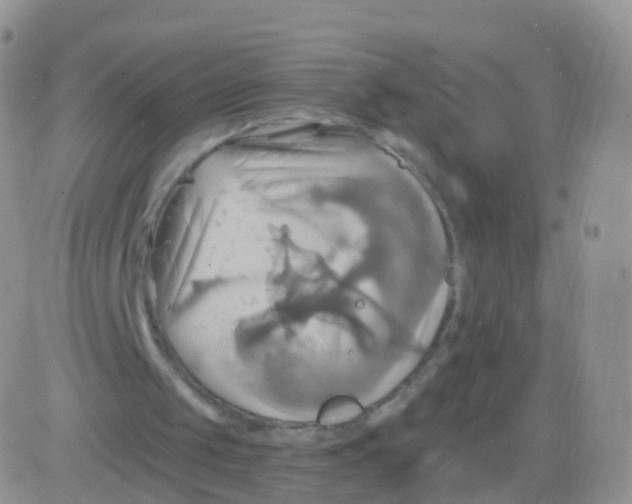 X0000083040049200702231940