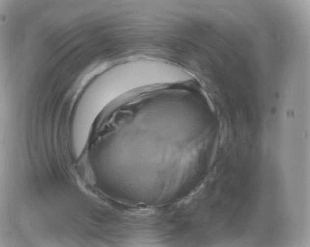 X0000083040050200702231940