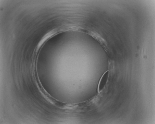 X0000083040051200702231940