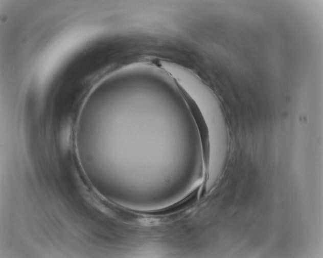 X0000083040052200702231940