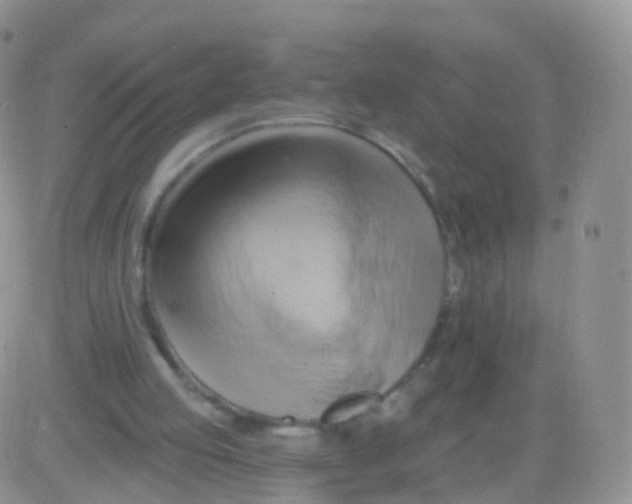 X0000083040053200702231940