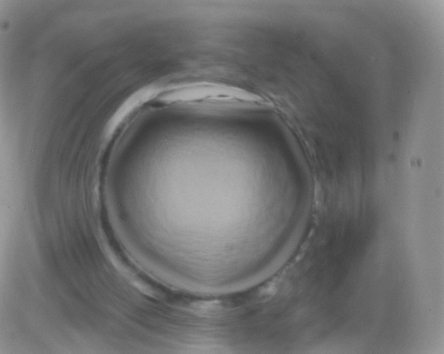 X0000083040054200702231940