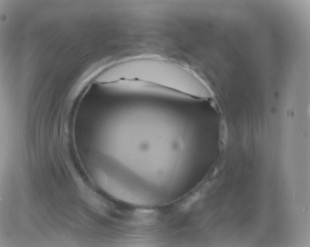 X0000083040055200702231940