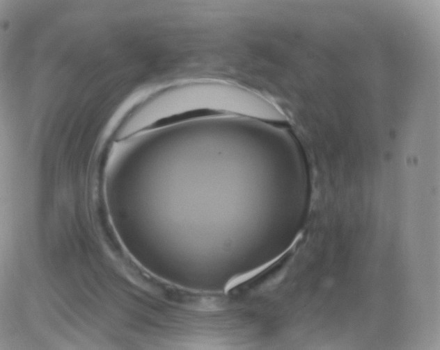 X0000083040056200702231940