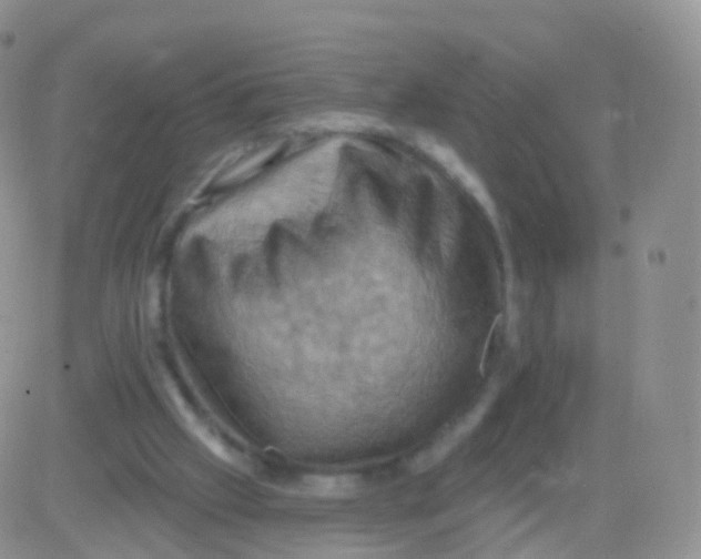 X0000083040057200702231940