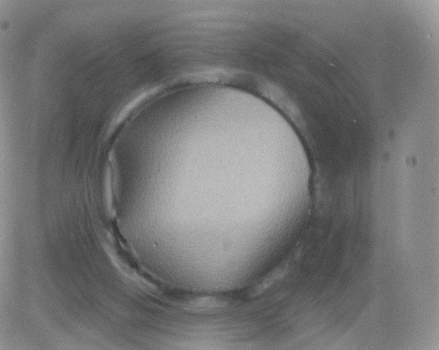 X0000083040058200702231940