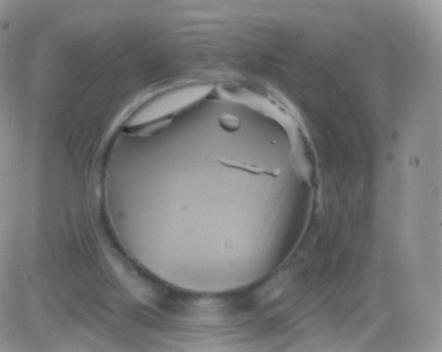 X0000083040059200702231940