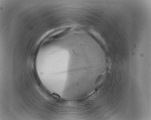 X0000083040060200702231940