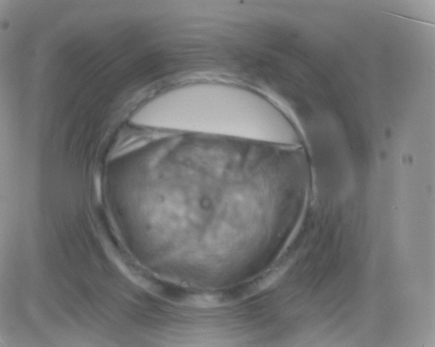 X0000083040061200702231940