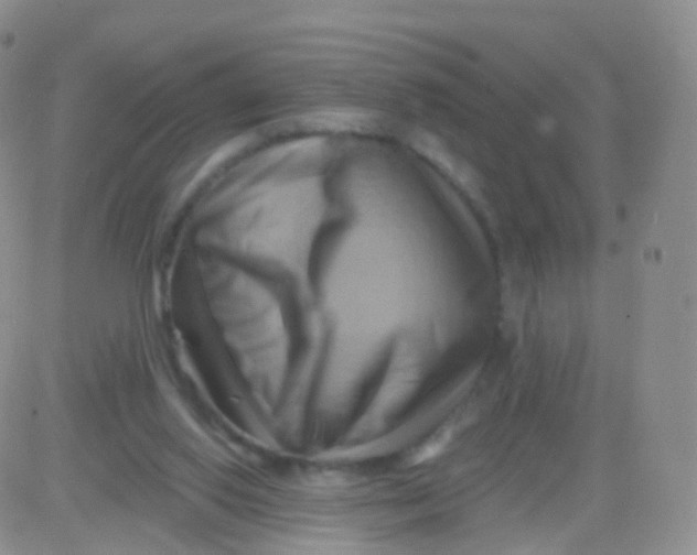 X0000083040062200702231940