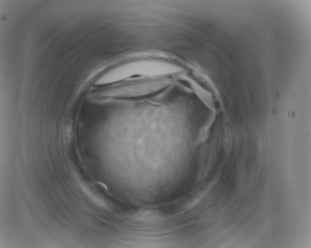 X0000083040063200702231940